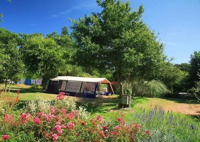 Zecamping 3 Anime Pet Friendly Familial Piscine Chauffee * Sainte-Reine-de-Bretagne