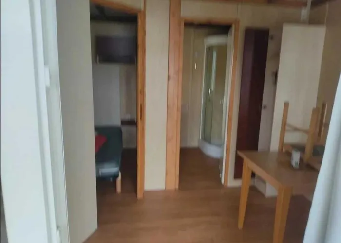 Zecamping 3 Anime Pet Friendly Familial Piscine Chauffee